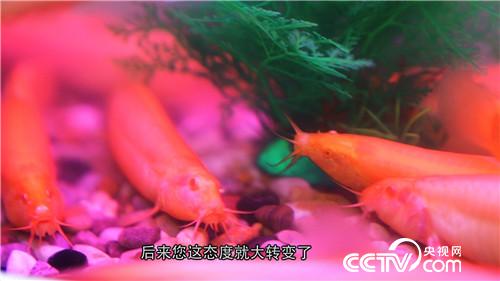 ¸Btɫq 3000f